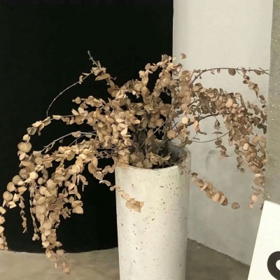 Furry插画细节提升干货福瑞交流群